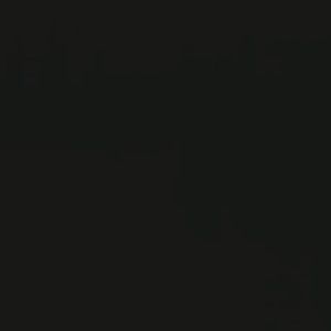 Meet your Posher, Destinee